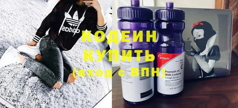 Codein Purple Drank  MEGA маркетплейс  Каменка 